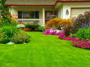 JNJ Landscaping inc Lynbrook, Malverne Lawn Maintenance