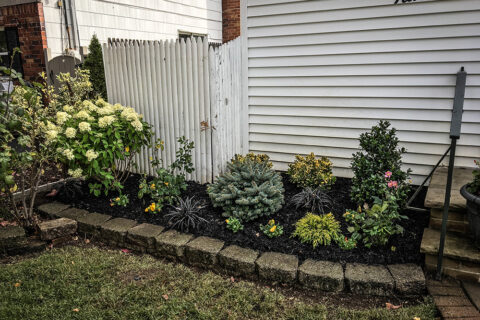 Mulch